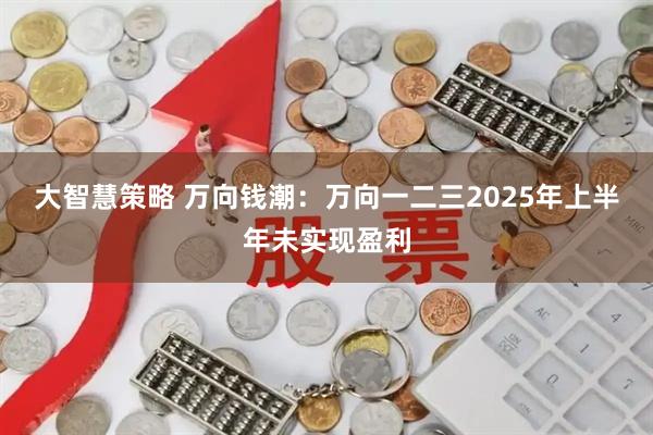 大智慧策略 万向钱潮：万向一二三2025年上半年未实现盈利