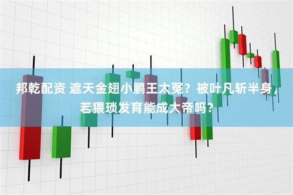 邦乾配资 遮天金翅小鹏王太冤？被叶凡斩半身，若猥琐发育能成大帝吗？