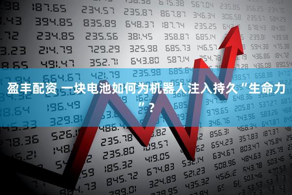 盈丰配资 一块电池如何为机器人注入持久“生命力”？